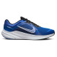Nike Quest 5